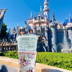 Könnte beinhalten: Ein klarer Plastikbecher mit einer Disney-Themenhülle mit Mickey und Minnie Mouse, Dumbo und anderen Charakteren. Der Becher wird vor einem Schloss mit blauen Türmen und einem Brunnen unter einem klaren blauen Himmel gehalten.