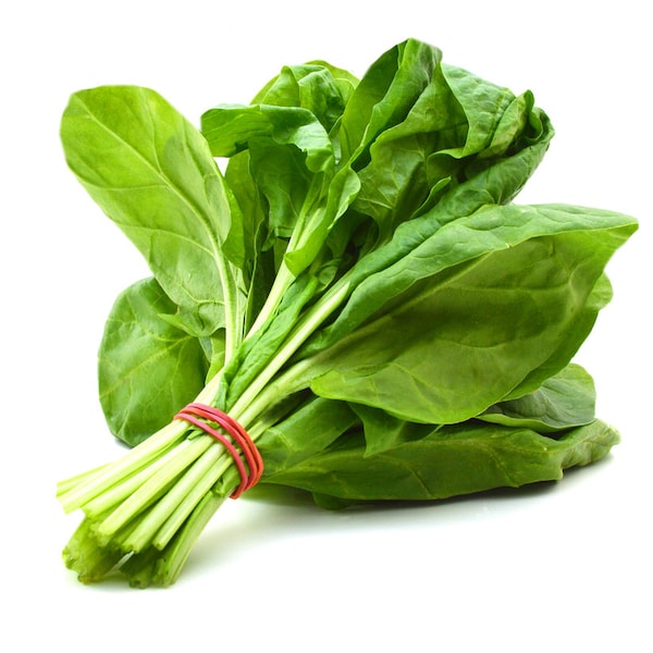 Spinach Noble Giant Seeds