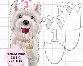 Pet Patterns