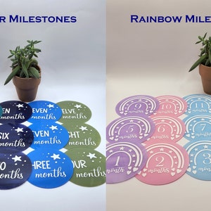 Baby Monthly Milestones, 12 month set, Acrylic Milestone Discs, Newborn Photo Props, Baby Shower Gift, Keepsakes, Milestone Plates