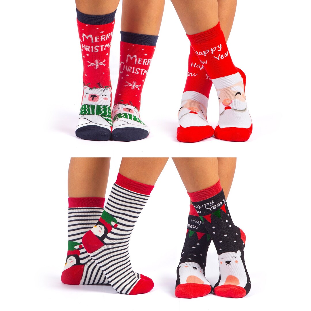 Christmas Socks Set 4 Pair Animal Lover Thick Warm Socks for Friends