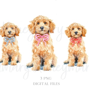 Watercolor Goldendoodle Dog with Coquette Bow Doodle Dog PNG Clipart Coquette Doodles