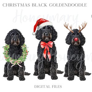 Watercolor Christmas Cute Black Goldendoodle Labradoodle Doodle Dog Santa Hat PNG Clipart Coquette Preppy Doodles Christmas Tree