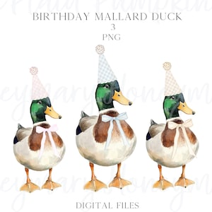 May include: Three watercolor illustrations of mallard ducks wearing party hats. Each duck has a different colored bow. The ducks are standing on a white background. The text "Birthday Mallard Duck" and "3 PNG" is above the ducks.