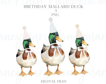 Clipart PNG di anatra selvatica di compleanno, fiocco e cappello a quadretti (file digitali)