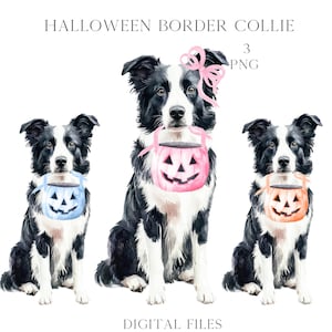 May include: Three watercolor illustrations of Border Collie dogs dressed in Halloween costumes. Each dog is holding a pumpkin-shaped bucket. The dogs are wearing a pink, blue, and orange bucket.