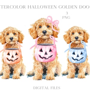 Watercolor Halloween Golden Goldendoodle Labradoodle Doodle Dog Gingham Pumpkin Candy Bucket PNG Clipart Coquette Preppy Doodles