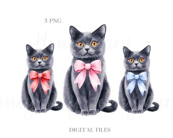 Aquarell graue Katze Clipart, PNG (digitaler Download)