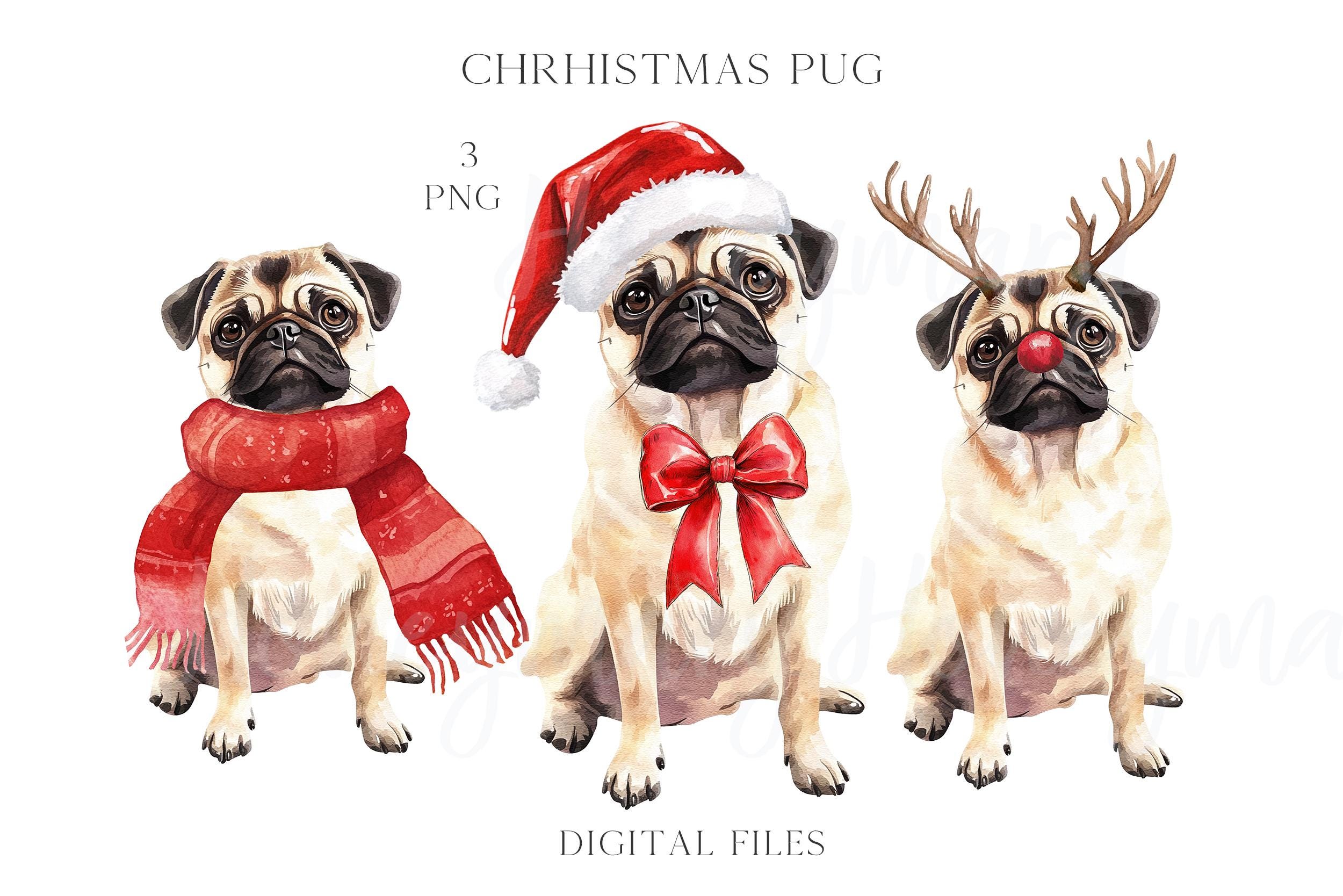 Watercolor Christmas Pug Dog Santa Hat PNG Clipart Coquette Preppy ...