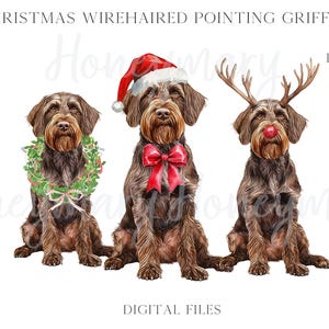 Op de afbeelding: Drie digitale illustraties van Draadhaar-Vorstehhonden gekleed in kerstversiering. De eerste hond draagt een rode kerstmanmuts en een rode strik. De tweede hond draagt een groene krans om zijn nek. De derde hond draagt rendiergewei en een rode neus.