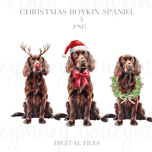 Aquarell niedlichen Weihnachten Boykin Spaniel Hund Weihnachtsmütze, Rentier, PNG Clipart Kokette Preppy Zeichnete Doodles Weihnachtskranz