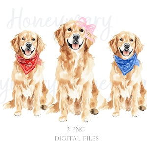 Perro Golden Retriever de acuarela con lazo coqueto y bandana Doodle Dog PNG Clipart Coquette Doodles