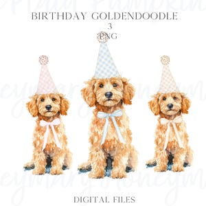Verjaardag Goldendoodle PNG-clipart Coquette Bow Gingham verjaardagshoedje Preppy Doodles Blauw Roze Beige