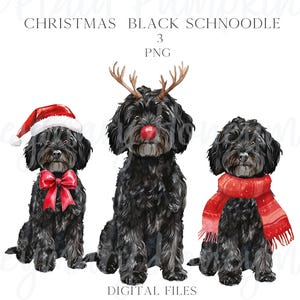 Acuarela Lindo Perro Schnoodle Negro Navideño Gorro De Papá Noel, Reno, PNG Clipart Coquette Preppy Doodles Corona Navideña