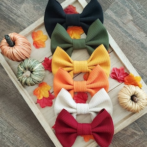 May include: A set of six hair bows in various fall colors, including black, green, yellow, orange, cream, and red. The bows are arranged in a stack on a wooden tray with fall-themed decorations.