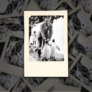 Walt Disney at the London Zoo Polaroid Sticker, Disney Stickers, Waterproof Disney Stickers, Stickers for Disney Adults