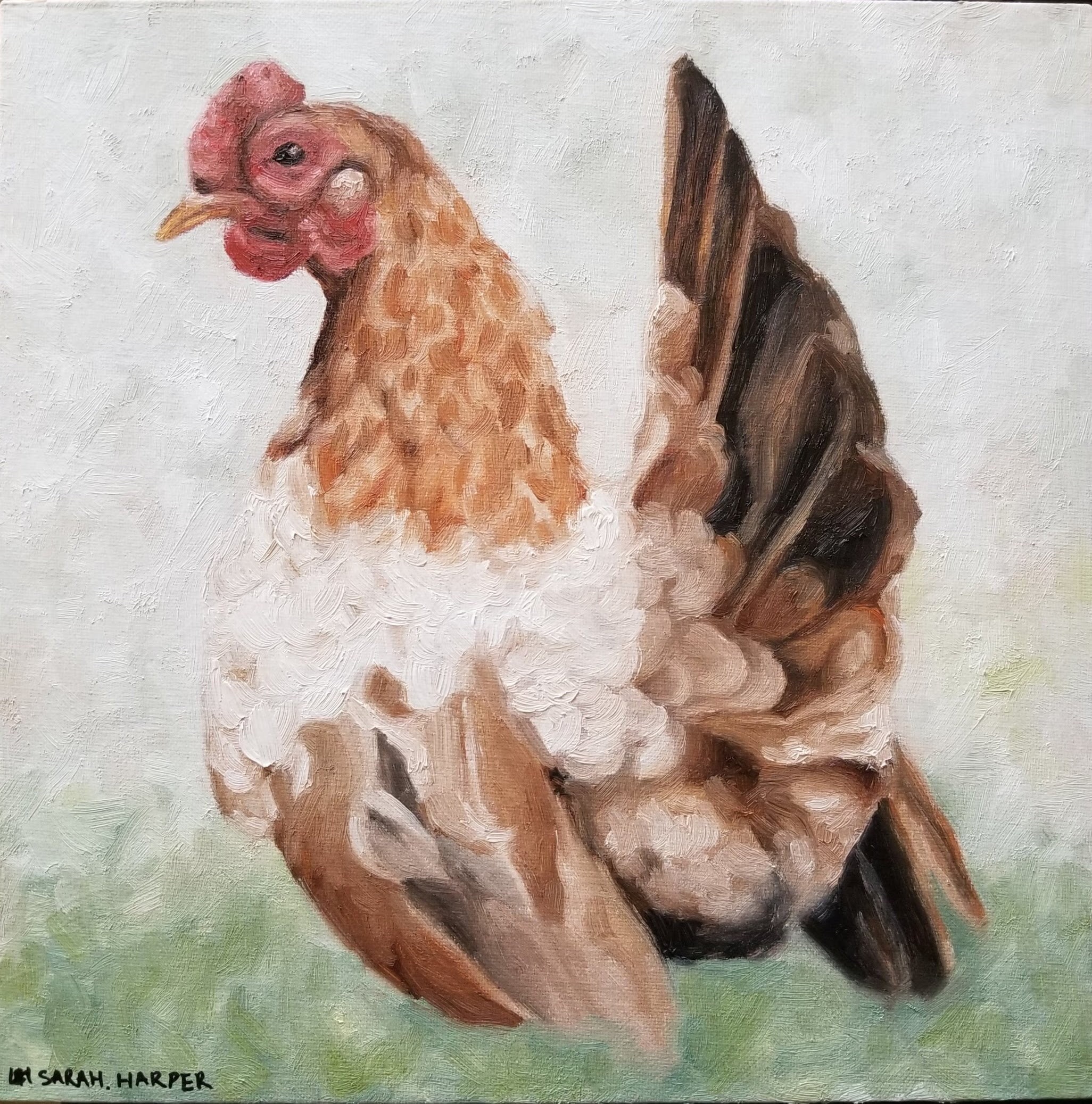 Chicken Hen Oil Painting. Original Signed Oil Painting. Hen Etsy