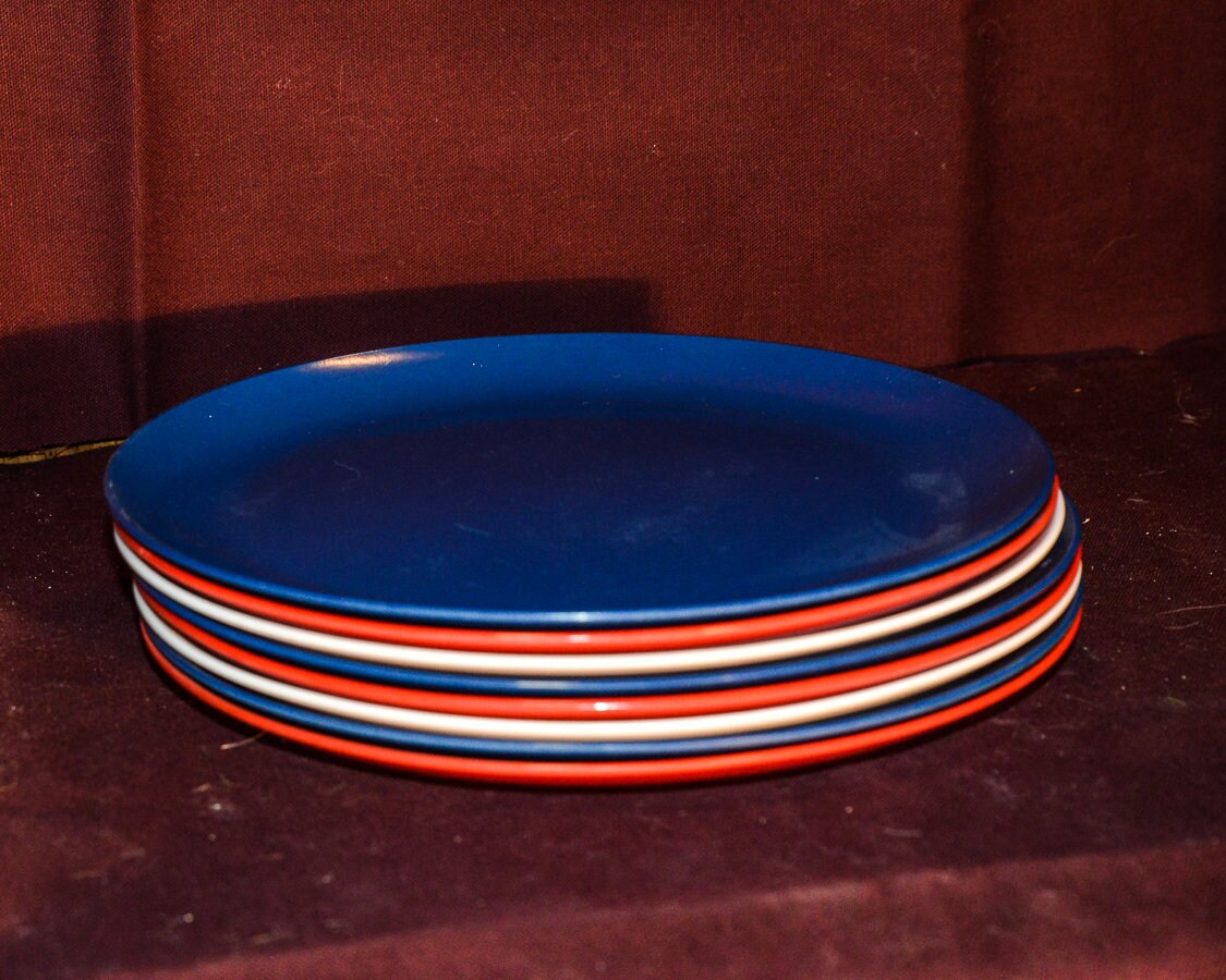 Set of 8 Oneida Plastic Picnic Plates Red White and Blue Etsy