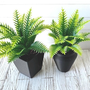 May include: Two artificial fern plants in black pots. The ferns have bright green, feathery fronds. One pot is square, the other is round. The plants sit on a white and gray wood-grain surface.