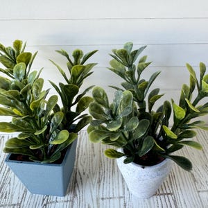 Large Dollhouse Plant, Miniature Potted Plant, Choice of Color, 1:12 Scale Greenery