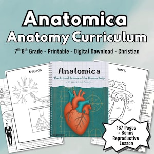 May include: Anatomy curriculum with the title "Anatomica" and the subtitle "The Art and Science of the Human Body." The cover features a detailed illustration of a heart. Includes 167 pages and a bonus reproductive lesson.