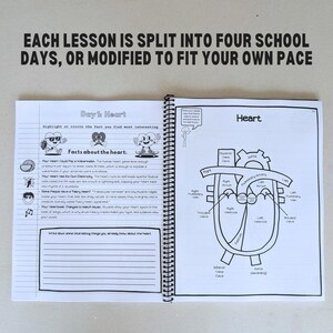 Classical Conversations-approved anatomy resource with high-quality illustrations, puzzles, and exploratory experiments. Spiral-bound for durability and ease of use.

Comprehensive 167-page anatomy workbook for homeschoolers, covering 10 lessons with puzzles, research assignments, and discussion prompts for deep learning.
