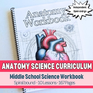 High-quality printed anatomy workbook designed for homeschoolers in the Classical Conversations program. Features 10 structured lessons with diagrams, definitions, hands-on experiments, and critical-thinking activities.

Classical education science workbook for Challenge A students, covering human anatomy through debates, research projects, and detailed anatomical drawings. Spiral-bound for easy use.
