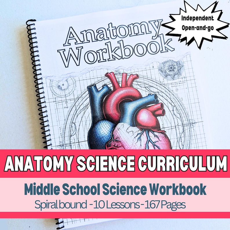 High-quality printed anatomy workbook designed for homeschoolers in the Classical Conversations program. Features 10 structured lessons with diagrams, definitions, hands-on experiments, and critical-thinking activities.

Classical education science workbook for Challenge A students, covering human anatomy through debates, research projects, and detailed anatomical drawings. Spiral-bound for easy use.