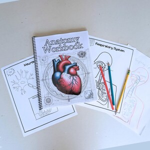 Challenge A science workbook with structured lessons, drawing activities, and debate prompts. Combines classical education with hands-on labs and research.

Classical Conversations-approved anatomy resource with high-quality illustrations, puzzles, and exploratory experiments. Spiral-bound for durability and ease of use.