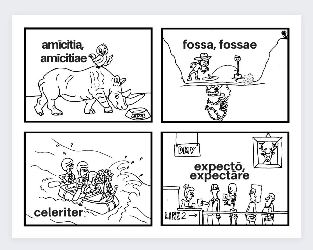 Challenge B Henle Latin Flashcards with Pictures - Etsy
