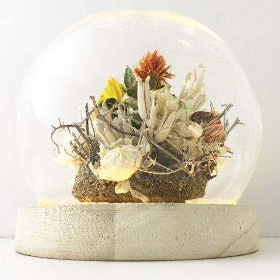 Sphère Fleurs Séchées Biome Désert'