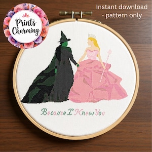 以下が含まれることがあります： 木製のフレームに入ったクロスステッチ刺繍。オズの魔法使いの2人のキャラクターが描かれています。一人は黒と緑の悪い魔女、もう一人はピンクのガウンを着たグリンダです。「Because I Know You」の文字が下に刺繍されています。