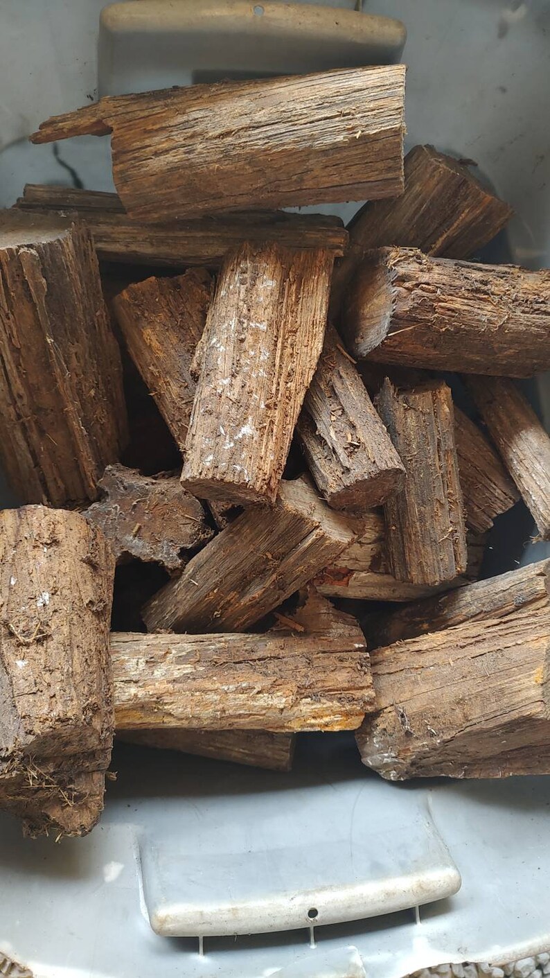 Fatwood Lighter Knot Logs Etsy