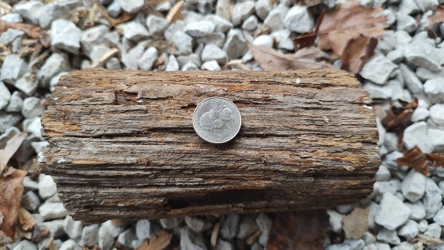 Fatwood Lighter Knot Logs Etsy