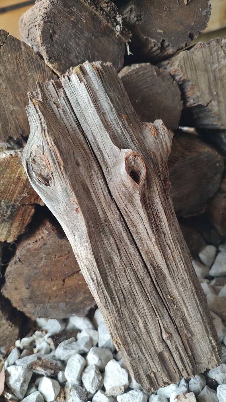 Fatwood Lighter Knot Logs Etsy