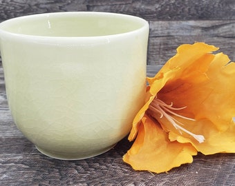 Handmade Ceramic Snack Bowl, Planter, or Catch All - Hand Thrown Pottery