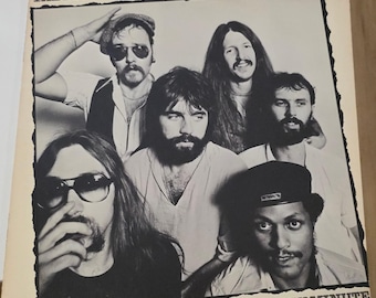 Vintage the Doobie Brothers Minute by Minute 1978 Album Vinyl LP
