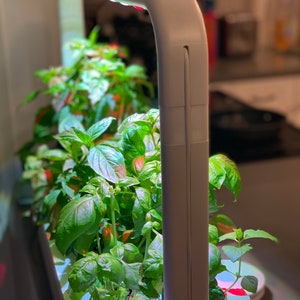 Grow Light Extensions for Indoor Garden - Click and Grow