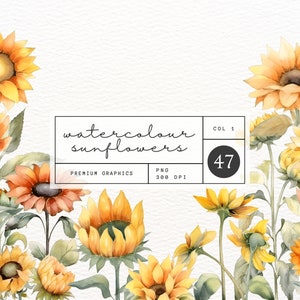 Aquarell Sonnenblume Grafiken Set, 47 Premium illustrierte Blumen Clipart, hochwertige PNG, persönliche und kommerzielle Nutzung, Sofortiger Download