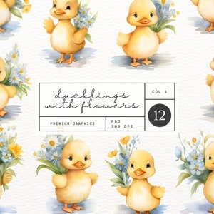Schattige eendjes met bloemen afbeeldingenset - 12 Premium geïllustreerde illustraties, PNG met hoge resolutie, persoonlijk en commercieel gebruik