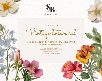 Collezione di illustrazioni floreali botaniche vintage premium 2 - ClipArt di alta qualità per uso personale e commerciale