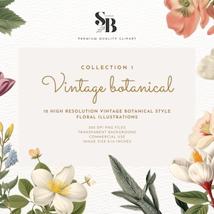 Illustrations florales botaniques vintage de qualité supérieure - Ensemble de 10 images clipart de haute qualité à usage commercial