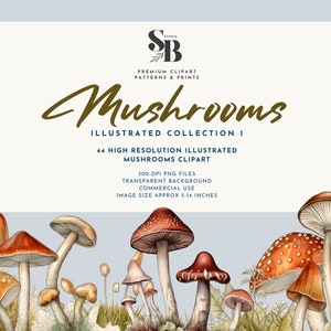 Set grafico clipart illustrato di funghi, 44 illustrazioni di funghi premium, alta qualità, uso personale e commerciale, download istantaneo