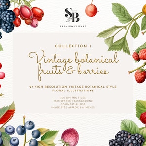 Premium Vintage Botanical Fruits and Berries Illustration Clipart - High-Resolution Botanical Graphics, Digital Downloads for Commercial Use