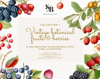 Premium Vintage Botanische Fruit en Bessen Illustratie Clipart - Botanische afbeeldingen met hoge resolutie, Digitale Downloads voor commercieel gebruik