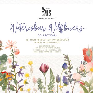 Ensemble de graphiques de fleurs sauvages à l'aquarelle, 40+ cliparts de haute qualité, 300 DPI, graphiques floraux à usage personnel et commercial, dessins inspirés de la nature