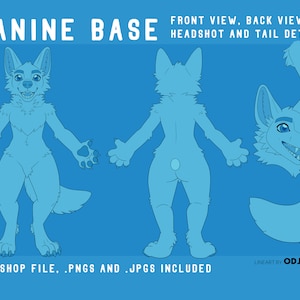 Karta referencyjna Canine Furry / baza do adopcji