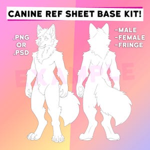 Zestaw podstawowy Fluffy Canine Furry Reference Sheet MALE i FEMALE [PNG i PSD]
