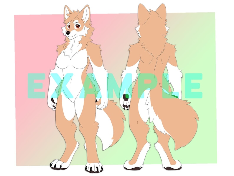 Fluffy Canine Furry Reference Sheet Base Kit MALE and FEMALE [pngs and ...