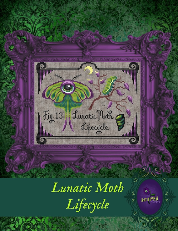 Lunatic Moth Lifecycle Digital Cross Stitch Pattern; Spooky Butterfly Garden; Creepy Vintage Botanical; Dark Academia Aesthetic